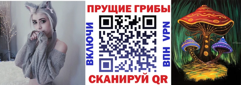 omg как зайти  Кирсанов  Галлюциногенные грибы мухоморы 